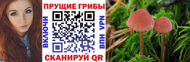 Галлюциногенные грибы Magic Shrooms  Лабытнанги 